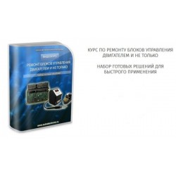 Курсы по ремонту блоков управления двигателем Краснощеков 2018 г.