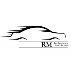 Пакет прошивок от тюнинг-ателье из Болгарии RM-Chiptuning